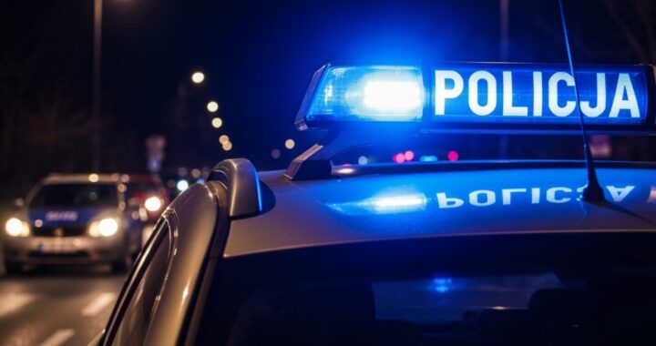 po--cig-w-zgierzu--kierowca-z-zakazem-i-amfetamin--auto-462