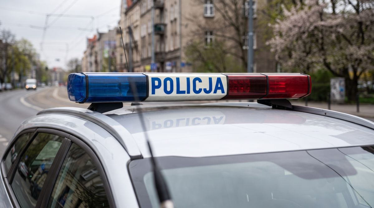 Uważaj na dzikie zwierzęta na drodze – Twoje bezpieczeństwo w Twoich rękach!