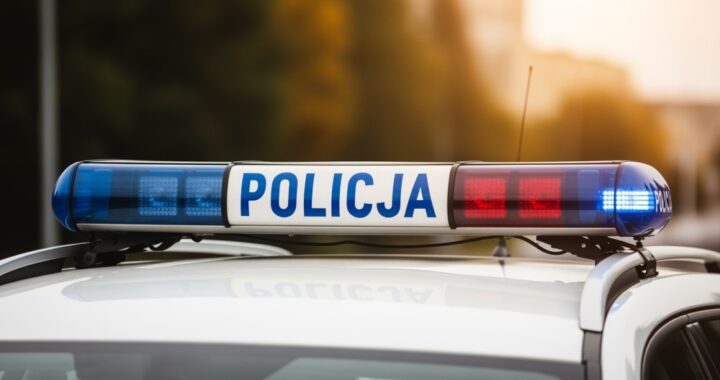 gra-terenowa-a-bezpiecze--stwo--jak-jeden-pakunek--auto-6626